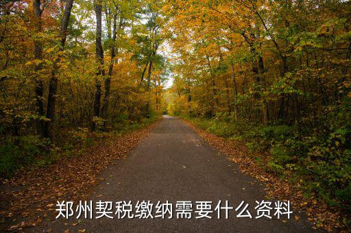 鄭州報稅用什么資料，鄭州國稅網(wǎng)上申報問題