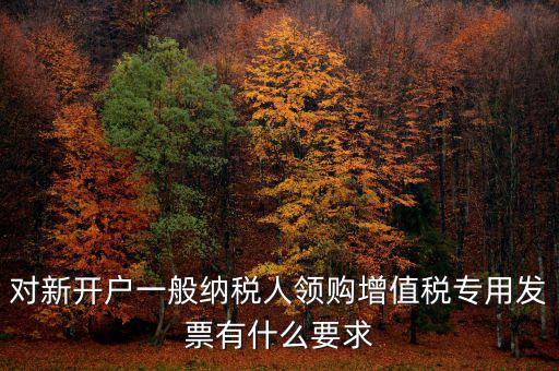 對(duì)新開戶一般納稅人領(lǐng)購(gòu)增值稅專用發(fā)票有什么要求