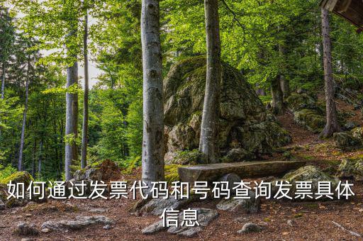 如何通過發(fā)票代碼和號(hào)碼查詢發(fā)票具體信息