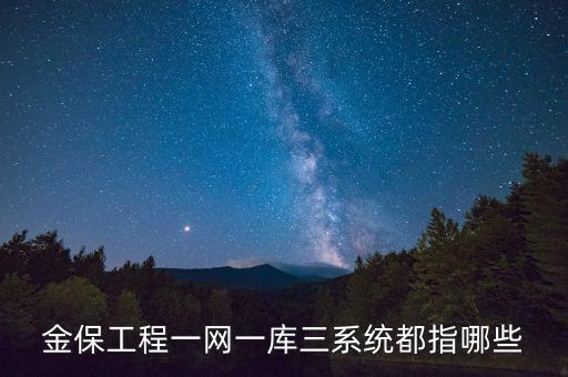 什么是金三系統(tǒng)，會(huì)計(jì)證外借給公司掛靠什么也沒做就被金三系統(tǒng)監(jiān)控了