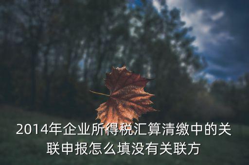 什么是關聯(lián)申報，2014年企業(yè)所得稅匯算清繳中的關聯(lián)申報怎么填沒有關聯(lián)方