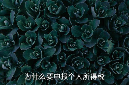 為什么要申報納稅，為什么公司老是要申報稅