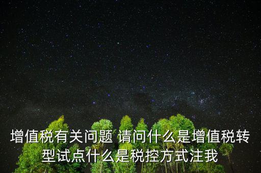 增值稅有關問題 請問什么是增值稅轉型試點什么是稅控方式注我