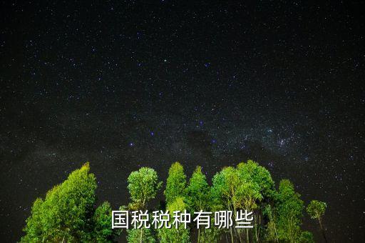 國稅都有什么稅，國稅包括哪些啊