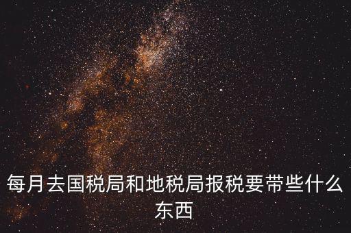 國(guó)稅大廳報(bào)稅需要什么，你好請(qǐng)教你一下如果我去國(guó)稅大廳報(bào)稅的話都需要帶什么東西填