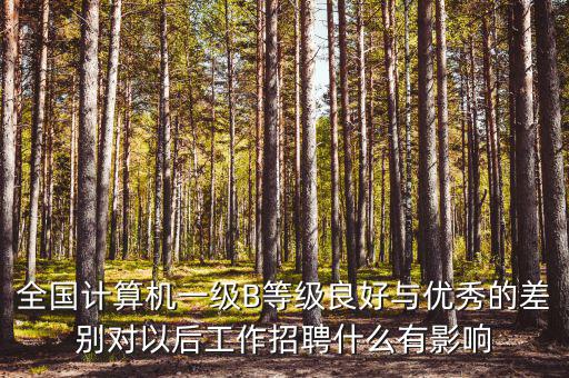全國計(jì)算機(jī)一級(jí)B等級(jí)良好與優(yōu)秀的差別對以后工作招聘什么有影響