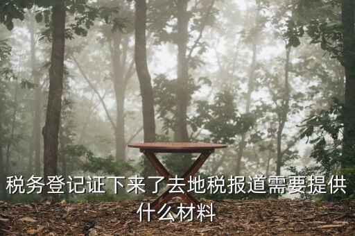 去地稅局報(bào)道需要什么手續(xù)，稅務(wù)登記證下來(lái)了去地稅報(bào)道需要提供什么材料