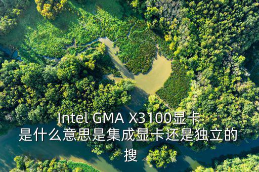 國(guó)稅集成理念是什么意思，Intel GMA X3100顯卡 是什么意思是集成顯卡還是獨(dú)立的  搜