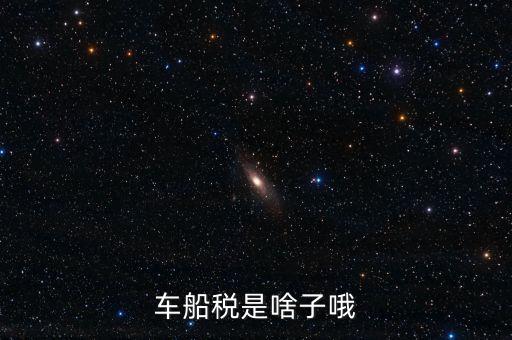 保險的車船稅是什么，車船稅是啥子哦