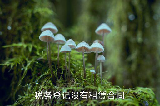 國稅房子為什么不出租，國稅局的店面房不出租了怎么辦