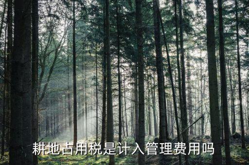 耕地占用稅是什么意思，耕地占用稅是計(jì)入管理費(fèi)用嗎
