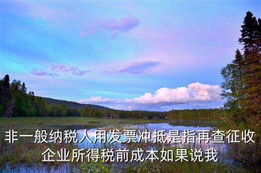 什么是非一般納稅人，非一般納稅人用發(fā)票沖抵是指再查征收企業(yè)所得稅前成本如果說我