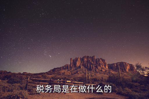 稅務局是在做什么的