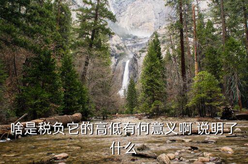 什么是稅負(fù)分析，增值稅稅負(fù)什么意思