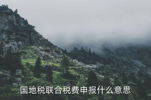 國地稅聯(lián)合稅費(fèi)申報什么意思