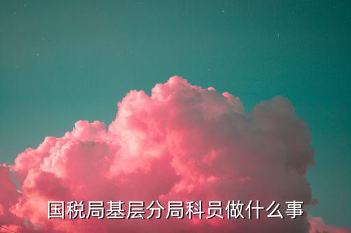 國(guó)稅局文秘主要干什么，國(guó)稅局基層分局科員做什么事