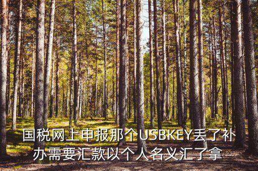 稅務(wù)ukey是什么意思，國稅網(wǎng)上申報那個USBKEY丟了補辦需要匯款以個人名義匯了拿