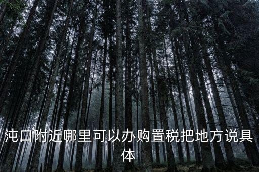 漢陽稅務(wù)局什么車，沌口附近哪里可以辦購置稅把地方說具體
