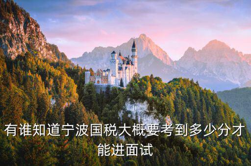 國稅 要求什么素質(zhì)，國稅公務(wù)員面試