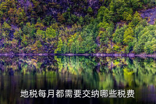 濟(jì)寧地稅收什么稅，地稅每月都需要交納哪些稅費(fèi)
