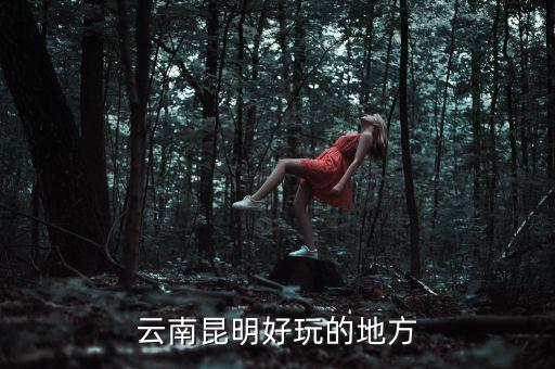 云南昆明地稅旁有什么好玩的地方，云南昆明有哪些好玩的地方
