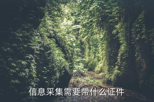 實(shí)名信息采集帶什么東西，去銀行辦理對(duì)公信息采集表需要帶哪些東西