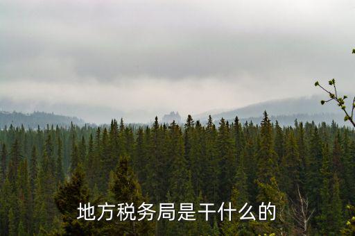 地稅局涉外稅收做什么，陜西發(fā)票涉外地稅是什么意思