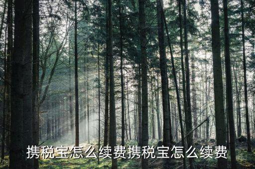 稅寶續(xù)費帶什么意思，攜稅寶續(xù)費后怎樣使用