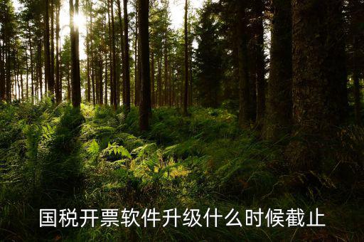 國(guó)稅開(kāi)票軟件升級(jí)什么時(shí)候截止