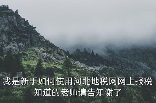 河北地稅申報(bào)用戶名是什么意思，用戶名是什么意思