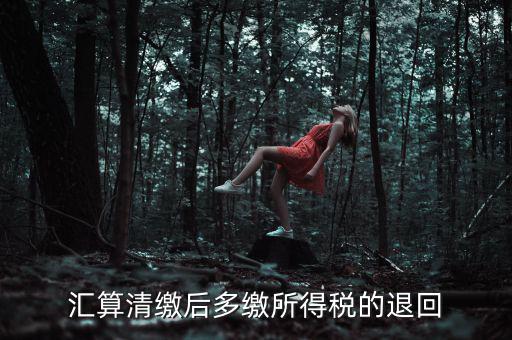 匯算清繳多繳稅款什么時(shí)候退，企業(yè)所得稅匯算清繳退款什么時(shí)候到賬