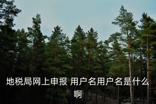 地稅局網(wǎng)上申報(bào) 用戶(hù)名用戶(hù)名是什么啊