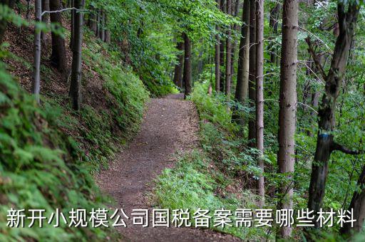 國(guó)稅備案需要什么材料，新開小規(guī)模公司國(guó)稅備案需要哪些材料