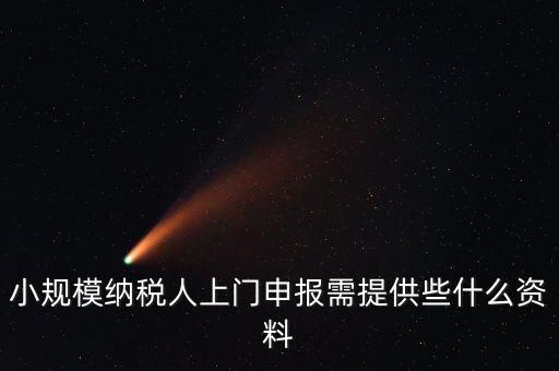 什么是上門申報，小規(guī)模納稅人上門申報需提供些什么資料