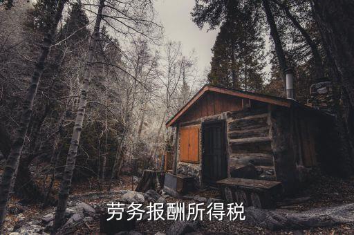 什么是勞動(dòng)報(bào)酬稅，勞務(wù)稅是什么