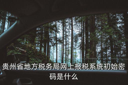 黑龍江電子稅務(wù)是什么，貴州省地方稅務(wù)局網(wǎng)上報(bào)稅系統(tǒng)初始密碼是什么