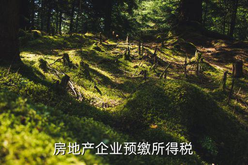 房地產(chǎn)預繳是什么意思，房價預交1萬抵2萬是什么意思