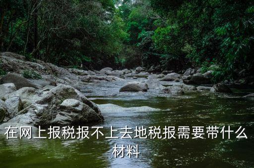網(wǎng)上報(bào)稅反寫(xiě)失敗帶什么手續(xù)，去國(guó)稅局查看反寫(xiě)需要帶什么