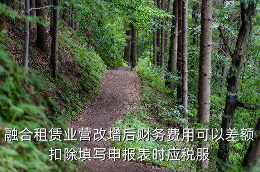 應(yīng)稅服務(wù)扣除項目清單干什么用，應(yīng)稅服務(wù)扣除項目清單中允許扣除項目金額指的是什么是總