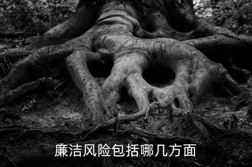 紀律風(fēng)險是什么意思，什么是廉政風(fēng)險