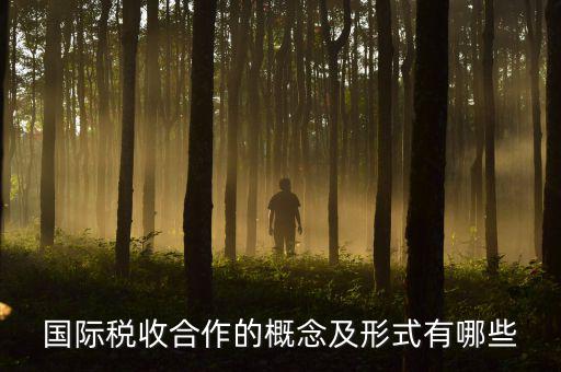 國際稅源是什么意思，國際稅收合作的概念及形式有哪些
