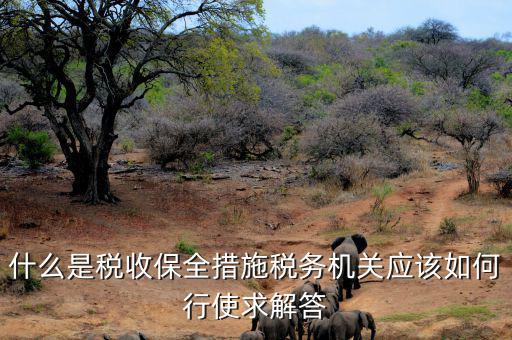 稅務(wù)局四個確保是什么，如何加強(qiáng)稅務(wù)稽查工作的幾點(diǎn)思考