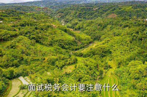面試稅務會計要注意什么