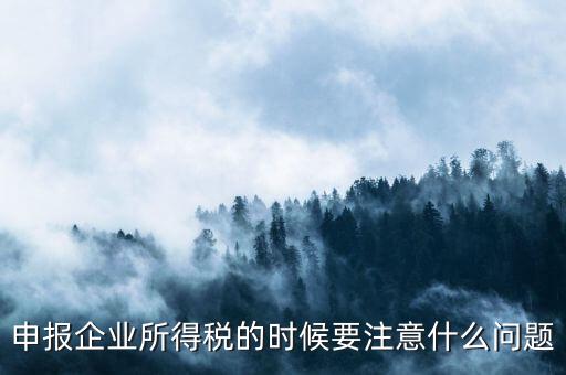 年度企業(yè)所得稅申報(bào)注意什么，申報(bào)企業(yè)所得稅的時候要注意什么問題