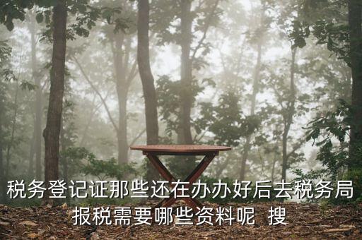 新辦企業(yè)稅務(wù)局需要什么資料，稅務(wù)登記證那些還在辦辦好后去稅務(wù)局報(bào)稅需要哪些資料呢  搜
