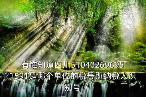 四川國稅廳帳號是什么，有誰知道四川510402696951591是哪個單位的稅號即納稅人識別號