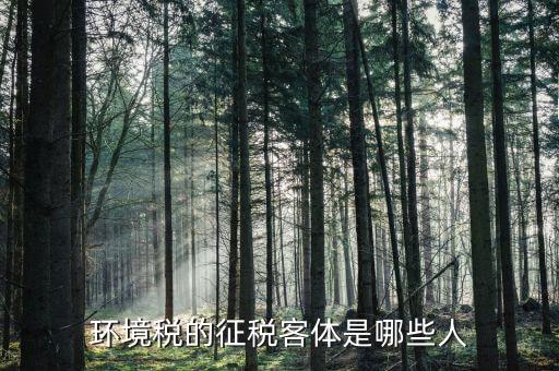 環(huán)保稅納稅人的什么意思，環(huán)境稅是什么意思