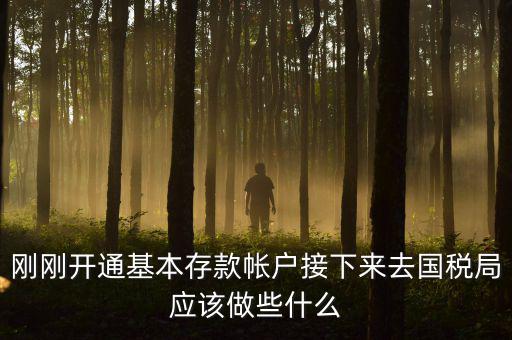 剛剛開通基本存款帳戶接下來(lái)去國(guó)稅局應(yīng)該做些什么