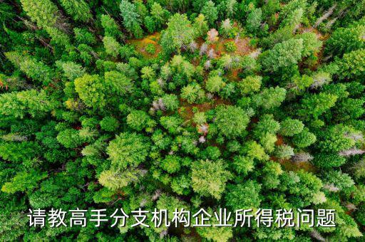企業(yè)所得稅分管單位是什么意思，企業(yè)所得稅主管稅務局指的是什么