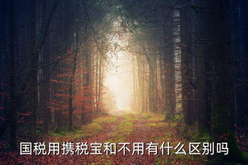 稅寶是什么，國稅用攜稅寶和不用有什么區(qū)別嗎